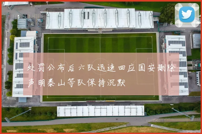 处罚公布后六队迅速回应国安删除声明泰山等队保持沉默